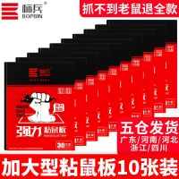 老鼠贴强力粘鼠板抓老鼠夹捉老鼠粘捕鼠器驱鼠灭鼠神器家用一窝端 10张装[加大加厚]
