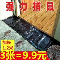 老鼠贴粘鼠板强力捕鼠器粘鼠魔毯粘老鼠板驱鼠粘老鼠胶水灭鼠神器 三张普通魔毯