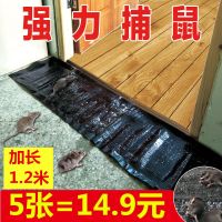 老鼠贴粘鼠板强力捕鼠器粘鼠魔毯粘老鼠板驱鼠粘老鼠胶水灭鼠神器 五张普通魔毯