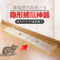 老鼠贴粘鼠板强力捕鼠器粘鼠魔毯粘老鼠板驱鼠粘老鼠胶水灭鼠神器 五张隐形粘鼠魔毯