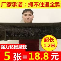 老鼠贴粘鼠板强力捕鼠器粘鼠魔毯粘老鼠板驱鼠粘老鼠胶水灭鼠神器 五张强力粘鼠魔毯