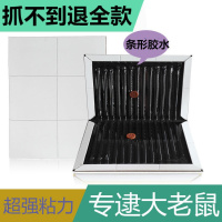 老鼠贴粘鼠板强力捕鼠器粘鼠魔毯粘老鼠板驱鼠粘老鼠胶水灭鼠神器 2张魔毯+3张强力粘鼠板（逮大老鼠）