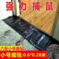 老鼠贴粘鼠板强力捕鼠器粘鼠魔毯粘老鼠板驱鼠粘老鼠胶水灭鼠神器 6张小号魔毯(0.6*0.28米)