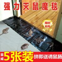 超强力大粘鼠板驱鼠灭鼠魔毯神器夹药抓粘沾鼠胶捕鼠器家用 [推荐]黑色魔毯5张(送诱鼠肠)