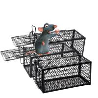 老鼠笼全自动连续灭鼠捕鼠器大号扑鼠器家用老鼠笼子老鼠夹捉神器 三个笼子+粘鼠板+花生