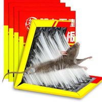 粘鼠板强力灭鼠老鼠贴家用粘鼠胶一窝端捕鼠神器老鼠笼捕鼠器 3张[加厚型]