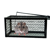 老鼠笼子全自动连续捕鼠器老鼠夹地夹家用抓灭鼠神器新款灭老鼠贴 捕鼠笼(新)1只装