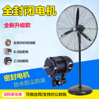 妖怪工业防水防尘落地扇虎威绿益纯铜工厂全封闭牛角扇户壁扇 需要定制款请联系客服