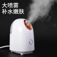蒸脸器家用补水美容仪喷雾面部打开毛孔蒸汽机黄金蛋热喷小型便携式 贵族白[纳米大喷雾/毛孔/滋润补水]迷你版