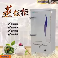 商用液化气煤气天然气12盘蒸饭柜6层蒸饭车机8格蒸箱黄金蛋24盘蒸车 电热管加热 10盘