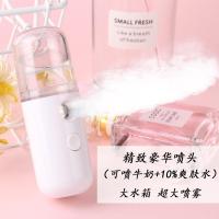 喷雾补水仪蒸脸器冷喷美容仪器便携式脸部黄金蛋面部保湿神器加 精致迷你-豪华版(可喷牛奶/10%比例爽肤水/大水箱/大喷雾