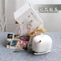 生日礼物加湿器带暖光夜灯办公室桌面小型家用黄金蛋卧室迷你usb宿舍送女朋友闺蜜 礼品装丨手提袋+代写贺卡丨萌宠雪橇鹿