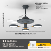 LED变频北欧隐形风扇吊灯简约加原木黄金蛋美式客厅电风扇灯餐厅吊扇灯 36寸[3头单层三色]壁控
