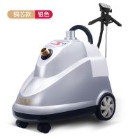 挂烫机E8-T588家用服装店铺黄金蛋专用小型熨烫衣机蒸汽熨斗 银色铜芯+清洗排垢工具+赠品