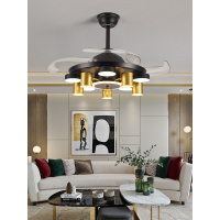 智能北欧美式风扇灯吊扇灯餐厅客厅黄金蛋卧室带LED电风扇吊灯一体隐形风扇的吊灯具后现 其他 8822B-变频-42寸遥控