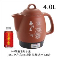 熬药紫砂中药壶全自动煎黄金蛋壶煎药壶电药砂锅煮药煲药罐家用药炉 4.0升一键智能红砂