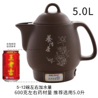 熬药紫砂中药壶全自动煎黄金蛋壶煎药壶电药砂锅煮药煲药罐家用药炉 5.0升一键智能紫砂