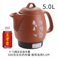 熬药紫砂中药壶全自动煎黄金蛋壶煎药壶电药砂锅煮药煲药罐家用药炉 5.0升一键智能红砂