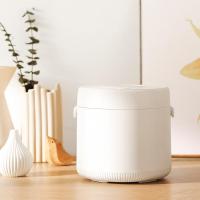 电饭煲多功能家用智能黄金蛋小型迷你蒸饭锅1-2-3人