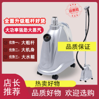 挂烫机蒸汽熨斗家用服装店大功率烫斗PW66黄金蛋烫挂衣熨烫机