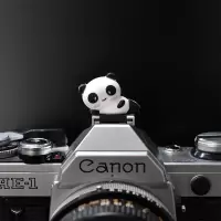 单|热靴保护盖卡通单反相机5d4微单a6100xt30防尘可爱创意配件80d a7m3 6d2 90dB5