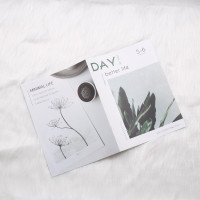 英文杂志DAY[16页]|摄影英文杂食拍摄背景布ins风装饰摆拍卡片拍照道具摆件饰品Y7