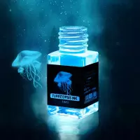 灯塔隐形墨水钢笔非碳素创意彩墨玻璃笔蘸水笔墨水18ml