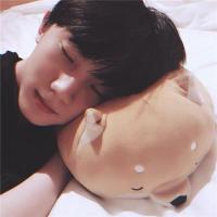 马嘉祺同款抖音柴犬名创优品狗狗毛绒公仔抱枕miniso正品可爱男女