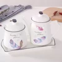 陶瓷调料瓶厨房家用醋壶酱油瓶油壶辣椒油罐味精盐调味罐组合套装 敬平 彩羽毛B