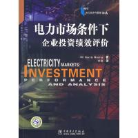 电力经济与管理译丛:电力市场条件下企业投资绩效评价