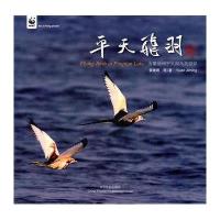 平天飞羽:安徽池州平天湖鸟类摄影