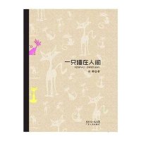 一只猫在人间