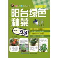 阳台绿色种菜一点通