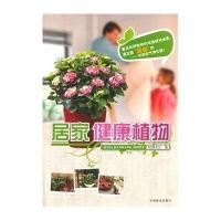 居家健康植物