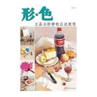 形 色：王磊水粉静物应试教程