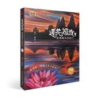 莲花初放：柬埔寨手绘旅行