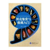 贝壳鉴赏与收藏入门