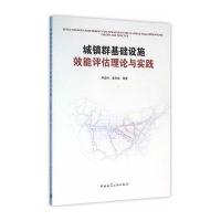 城镇群基础设施效能评估理论与实践