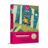 大林和小林 中小学生必读丛书-教育部新课标推荐读物