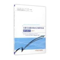 安徽劳动就业和社会保障发展研究报告2017