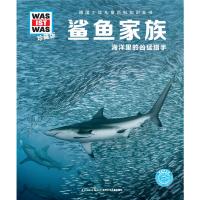 什么是什么-珍藏版：鲨鱼家族