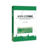 农村社会工作概论