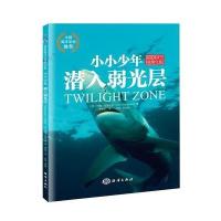 小小少年探索海洋之极限任务之-----潜入弱光层