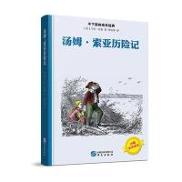 汤姆 索亚历险记