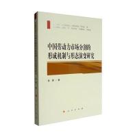 中国劳动力市场分割的形成机制与形态演变研究