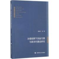 治理视野下民俗习惯与新农村建设研究