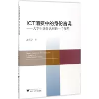 ICT消费中的身份言说