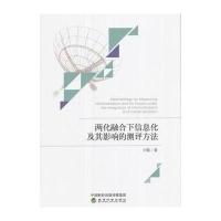 两化融合下信息化及其影响的测评方法