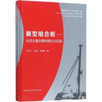新型组合桩-水泥土复合管桩理论与实践