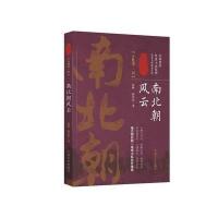 南北朝风云 第四卷(认认真真讲历史)